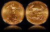 2010 $5 Gold Eagle - NGC MS 70.jpg
