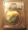 1881cc full1.jpg