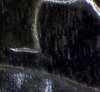 Pic1011.jpg