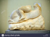 the-remains-of-a-roman-sculpture-of-a-nymph-or-cupid-riding-a-dolphin-A6T0XF.jpg