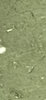 7ECC83D7-2C60-442A-A17F-A111098010DC.jpeg