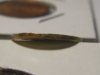 World_coins 017.jpg