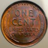 DSC04442.jpg