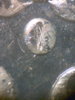 cpm_1884O_V6_Mintmark.jpg