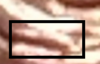 upload_2021-4-20_16-4-32.png