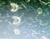 20210428_161209.jpg