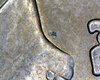 A019 - 20210501_100128.jpg