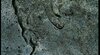CE5721F1-8C96-4D68-978C-6C84F5695300.jpeg