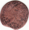 IMG.jpg