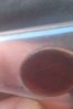penny1.jpg