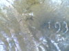 1934 ddo.jpg