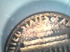 WIN_20210316_17_37_33_Pro.jpg