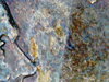 PICT0007.JPG