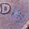 1935 D Mint Mark.jpg