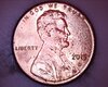 2015 D penny bumps 01.jpg