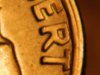 nikon 10-25-11 217.JPG