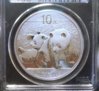 2010 Panda panda side.jpg