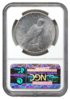 1928 NGC Peace Rv.JPG