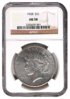 1928 NGC Peace Obv.JPG
