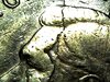 20210530_0845_032_0.000.jpg