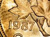 WIN_20210604_16_32_00_Pro.jpg