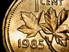 WIN_20210612_15_59_43_Pro.jpg