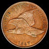 1857 Obv of 1856 - obv.JPG