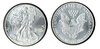 ONE DOLAR COIN.jpg