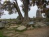 DSCN2648.jpg