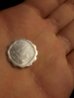 IMG_20111104_163340.jpg