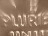 e plur 4_opt.jpg