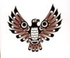 haida%u00252Beagle%2Btattoo%2Bidea.jpg