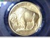 2008 W Gold11.jpg