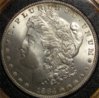 1984morgan.jpg