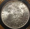 1889morgan.jpg