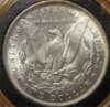 1891morganREV.jpg