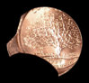 Conn Quarter Reverse 2.jpg