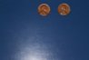 1968 D penny50percent.jpg