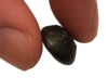 Side1.png