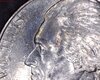 extreme close-up.jpg