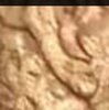 Screenshot_20210705-183141_Photos~2.jpg