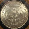 1881morganREV.jpg