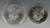 2011SAE_bullion2.jpg