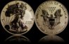 2011 P Rev. Proof ASE.jpg