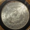 1885morganREV.jpg