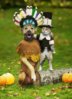 Happy_Thanksgiving.jpg