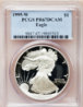 1995W Proof ASE2.jpg
