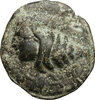 quincunex head in shell pegasus AA LII.jpg