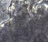 A6F4D02B-19D6-4804-BC13-9B0BE6628F6B.jpeg
