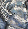 80702E71-323D-4BB3-8F88-ADE68EBBBEC2.jpeg